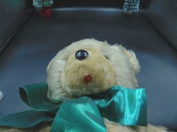 beige bear green ribbon a
